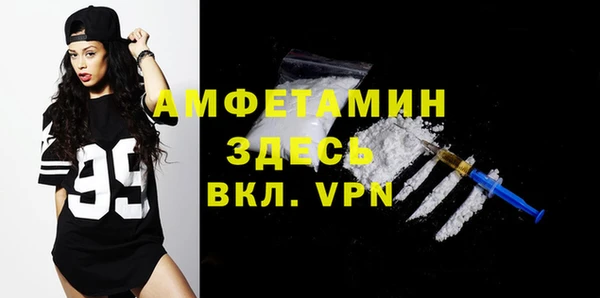 стаф Дмитров
