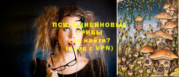 а пвп мука Кукмор