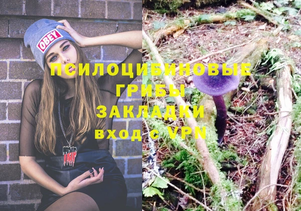 крисы Александровское