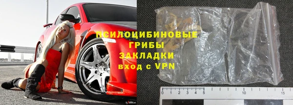 гидропоника Дмитриев
