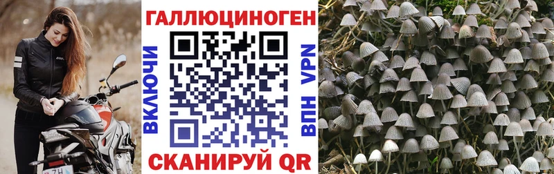 Галлюциногенные грибы Cubensis  Духовщина 